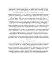 Administracinės kalbos vartojimas 5 puslapis