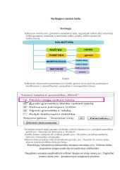 Administracinės kalbos vartojimas 6 puslapis