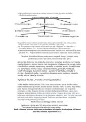 Administracinės kalbos vartojimas 8 puslapis