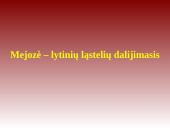 Mejozė – lytinių ląstelių dalijimasis