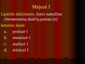 Mejozė – lytinių ląstelių dalijimasis 11 puslapis