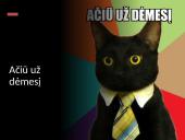 Vandenilio atomas (skaidrės) 9 puslapis