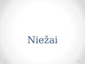 Niežai