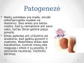 Niežai 3 puslapis