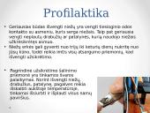 Niežai 7 puslapis