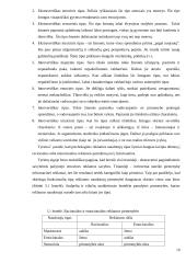 Kompiuterinė grafika poligrafijoje 9 puslapis