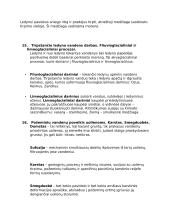 Inžinerinės geologijos E1 egzamino temų konspektas 8 puslapis