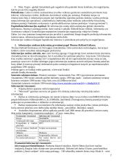 Komunikacijos ir informacijos teorijos 2 puslapis