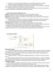 Komunikacijos ir informacijos teorijos 17 puslapis