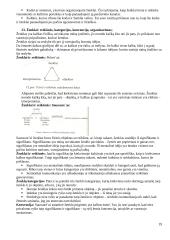 Komunikacijos ir informacijos teorijos 19 puslapis