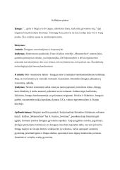 Kokie pasaulinės literatūros kūriniai yra tapę neatsiejama žmonių moralinės tapatybės dalimi? 4 puslapis