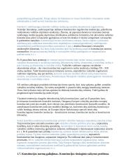 Konstitucijos teorijos pagrindai 12 puslapis