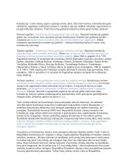 Konstitucijos teorijos pagrindai 13 puslapis