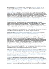 Konstitucijos teorijos pagrindai 18 puslapis