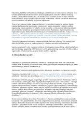 Konstitucijos teorijos pagrindai 5 puslapis