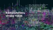 Skaidrės. Kompiuteriniai virusai 5 puslapis