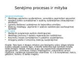 Vyresnio amžiaus žmonių mityba 2 puslapis