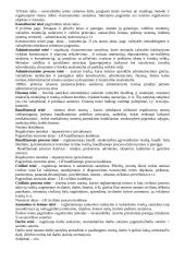 Konstitucinės teisės pradmenys 2 puslapis