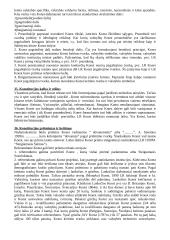 Konstitucinės teisės pradmenys 13 puslapis