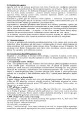 Konstitucinės teisės pradmenys 8 puslapis