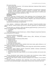 Lietuvos konstitucinės teisės apžvalga 11 puslapis