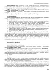 Lietuvos konstitucinės teisės apžvalga 13 puslapis