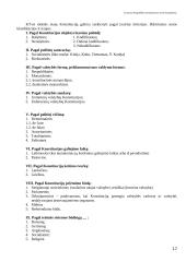 Lietuvos konstitucinės teisės apžvalga 17 puslapis