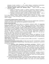 Konstitucinės teisės pagrindų teorija 13 puslapis