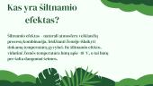 Pristatymas. Šiltnamio efektas 2 puslapis