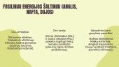Su elektros energijos gamyba susietos ekologinės problemos ir jų sprendimo būdai 4 puslapis
