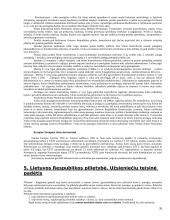 Plati konstitucinės teisės teorija atsiskaitymui 20 puslapis