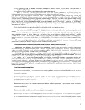 Plati konstitucinės teisės teorija atsiskaitymui 3 puslapis