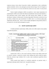 „Vilvi group“ finansinės veiklos analizė 11 puslapis