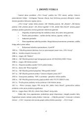„Vilvi group“ finansinės veiklos analizė 3 puslapis