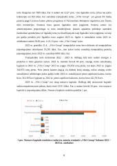 „Vilvi group“ finansinės veiklos analizė 5 puslapis