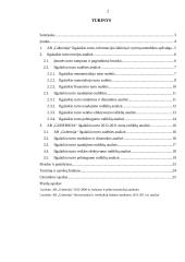 AB „Gubernija“ Ilgalaikio turto analizė