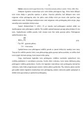 AB „Gubernija“ Ilgalaikio turto analizė 14 puslapis