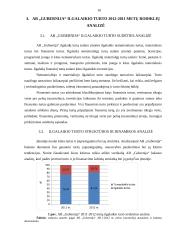 AB „Gubernija“ Ilgalaikio turto analizė 15 puslapis