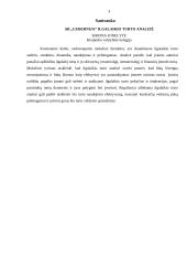 AB „Gubernija“ Ilgalaikio turto analizė 2 puslapis