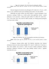 AB „Gubernija“ Ilgalaikio turto analizė 20 puslapis