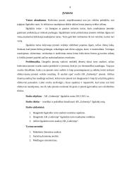 AB „Gubernija“ Ilgalaikio turto analizė 3 puslapis