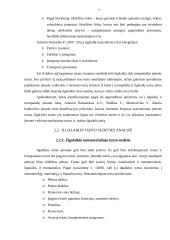 AB „Gubernija“ Ilgalaikio turto analizė 6 puslapis