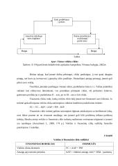 Įmonės efektyvumo (apyvartumo) analizė 10 puslapis