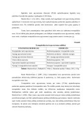 Įmonės efektyvumo (apyvartumo) analizė 15 puslapis