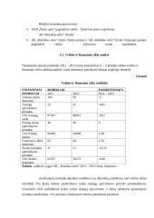 Įmonės efektyvumo (apyvartumo) analizė 18 puslapis