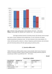 Įmonės efektyvumo (apyvartumo) analizė 20 puslapis