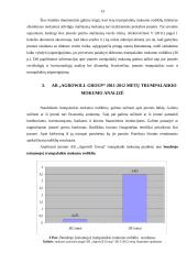 AB „Agrowill group“ įmonės trumpalaikio mokumo analizė 13 puslapis