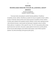 AB „Agrowill group“ įmonės trumpalaikio mokumo analizė 4 puslapis