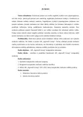 AB „Agrowill group“ įmonės trumpalaikio mokumo analizė 5 puslapis