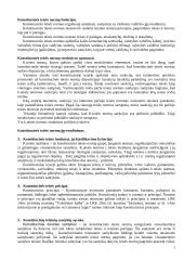 Konstitucinė teisė - gera teorija atsiskaitymui 3 puslapis